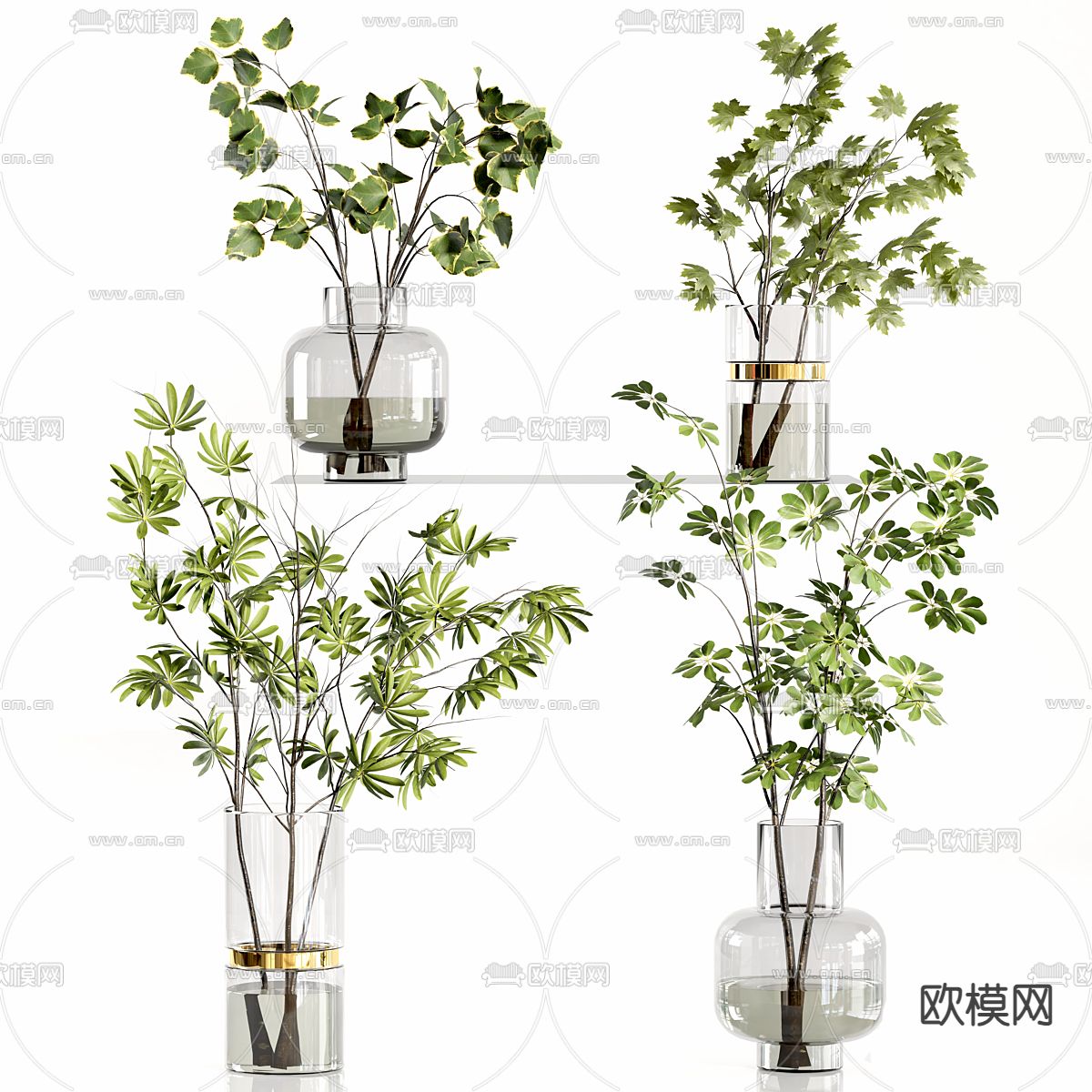 水生植物 水培绿植3d模型下载（渲染图1）