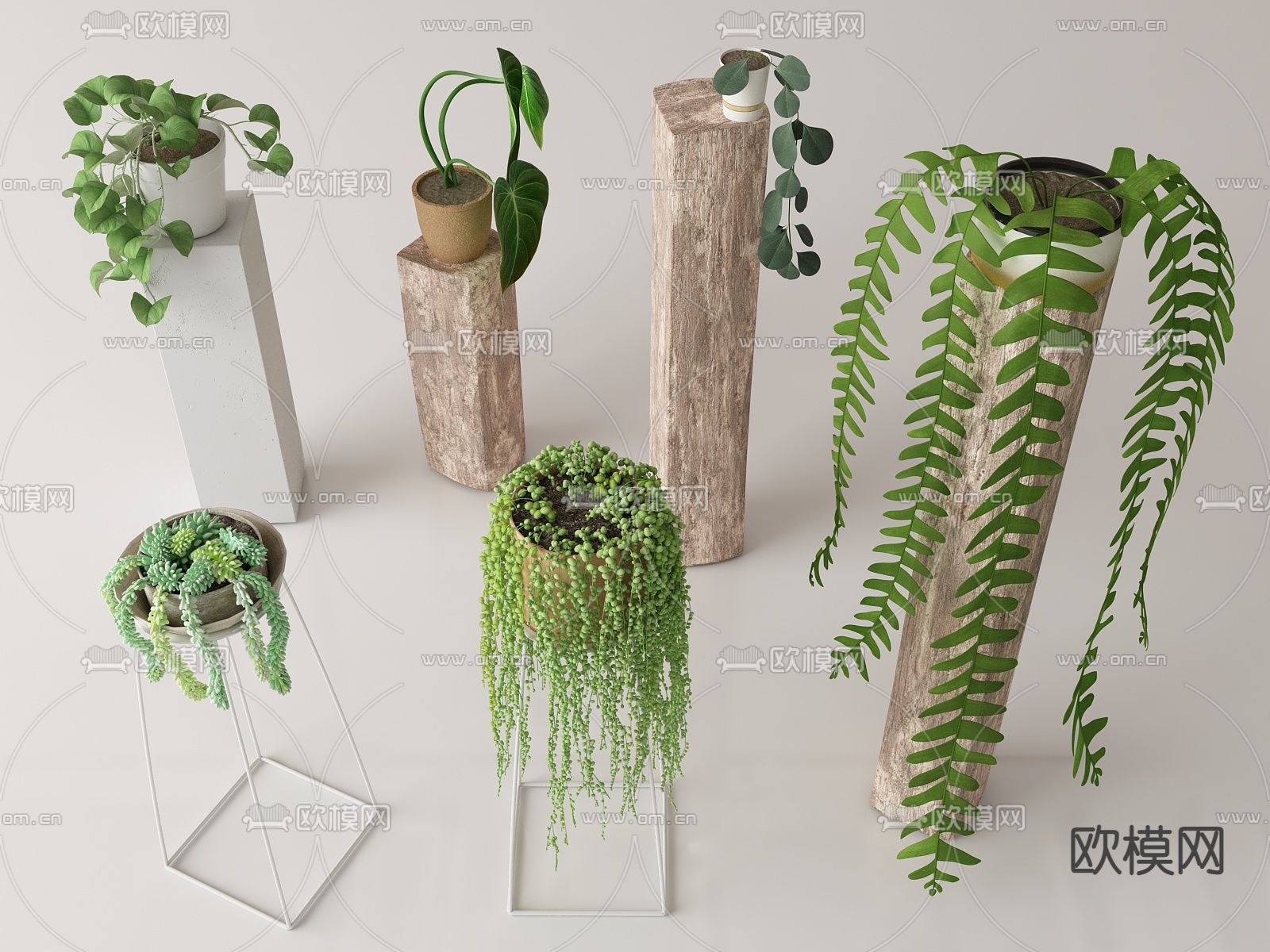 盆栽 盆景 吊篮su模型下载（渲染图1）