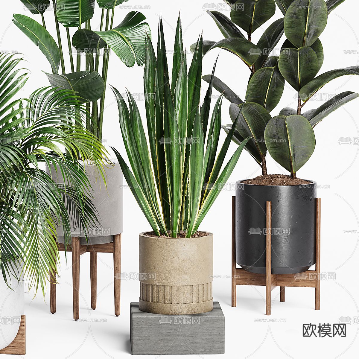 盆栽 盆景 绿植3d模型下载（渲染图2）