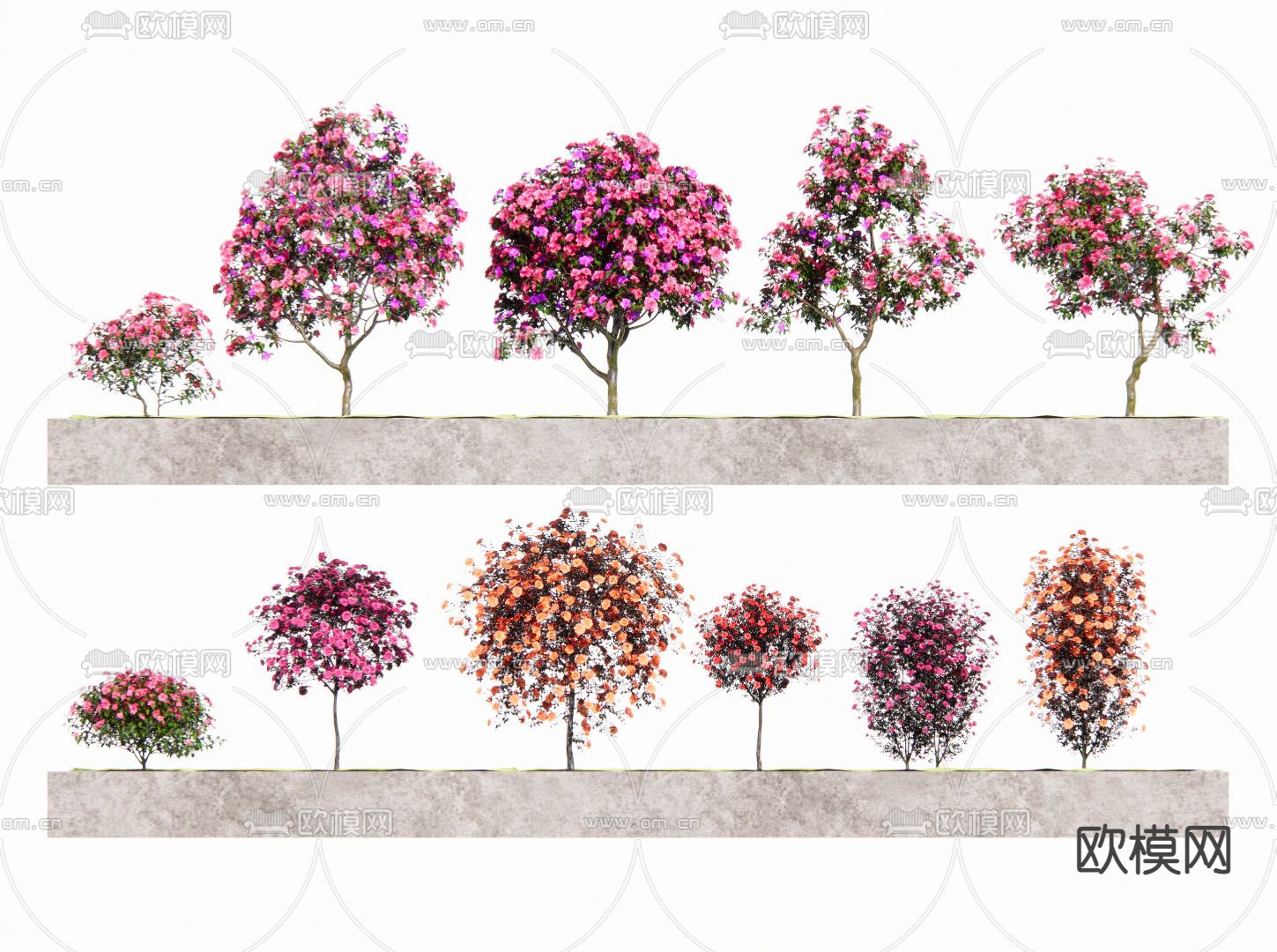 乔木 造景树su模型下载（渲染图1）