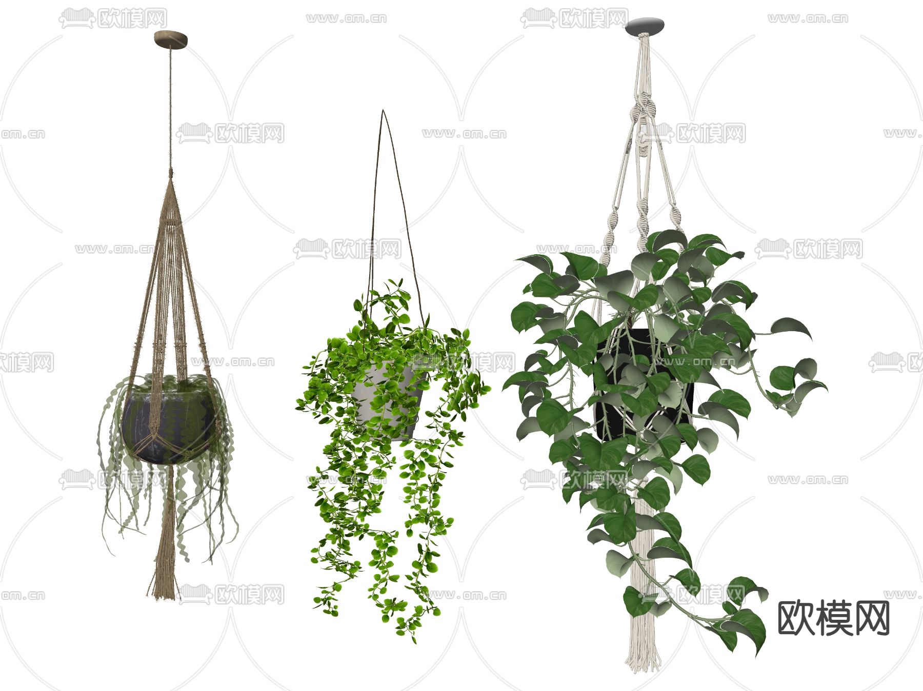 盆栽 盆景 吊篮 吊兰su模型下载（渲染图2）