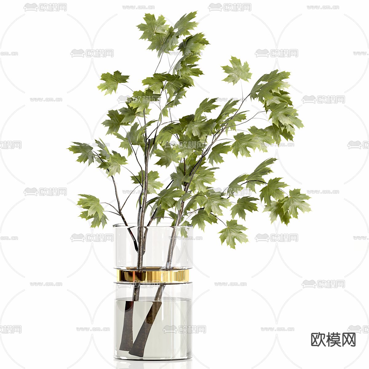 水生植物 水培绿植3d模型下载（渲染图3）