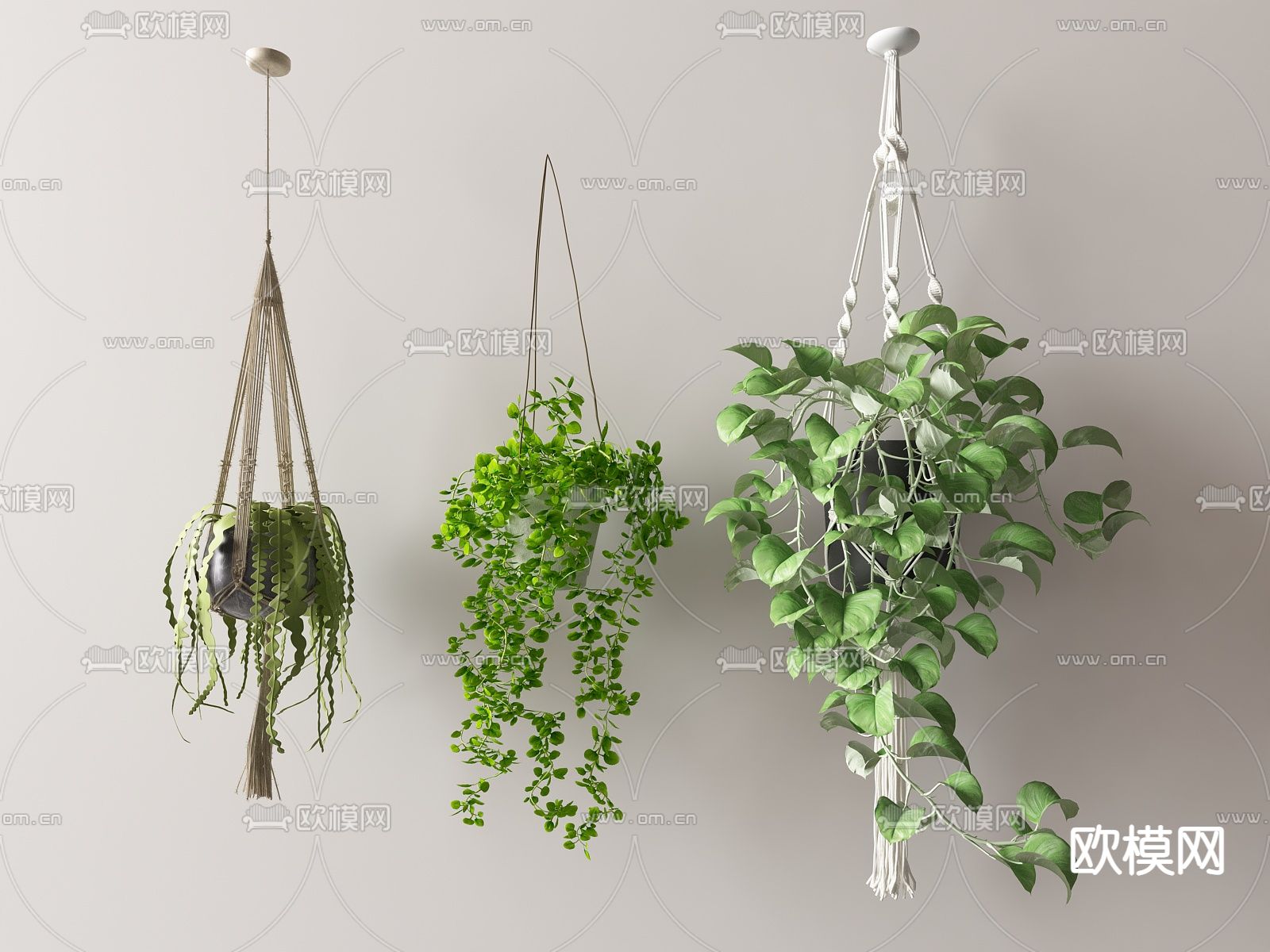 盆栽 盆景 吊篮 吊兰su模型下载（渲染图1）