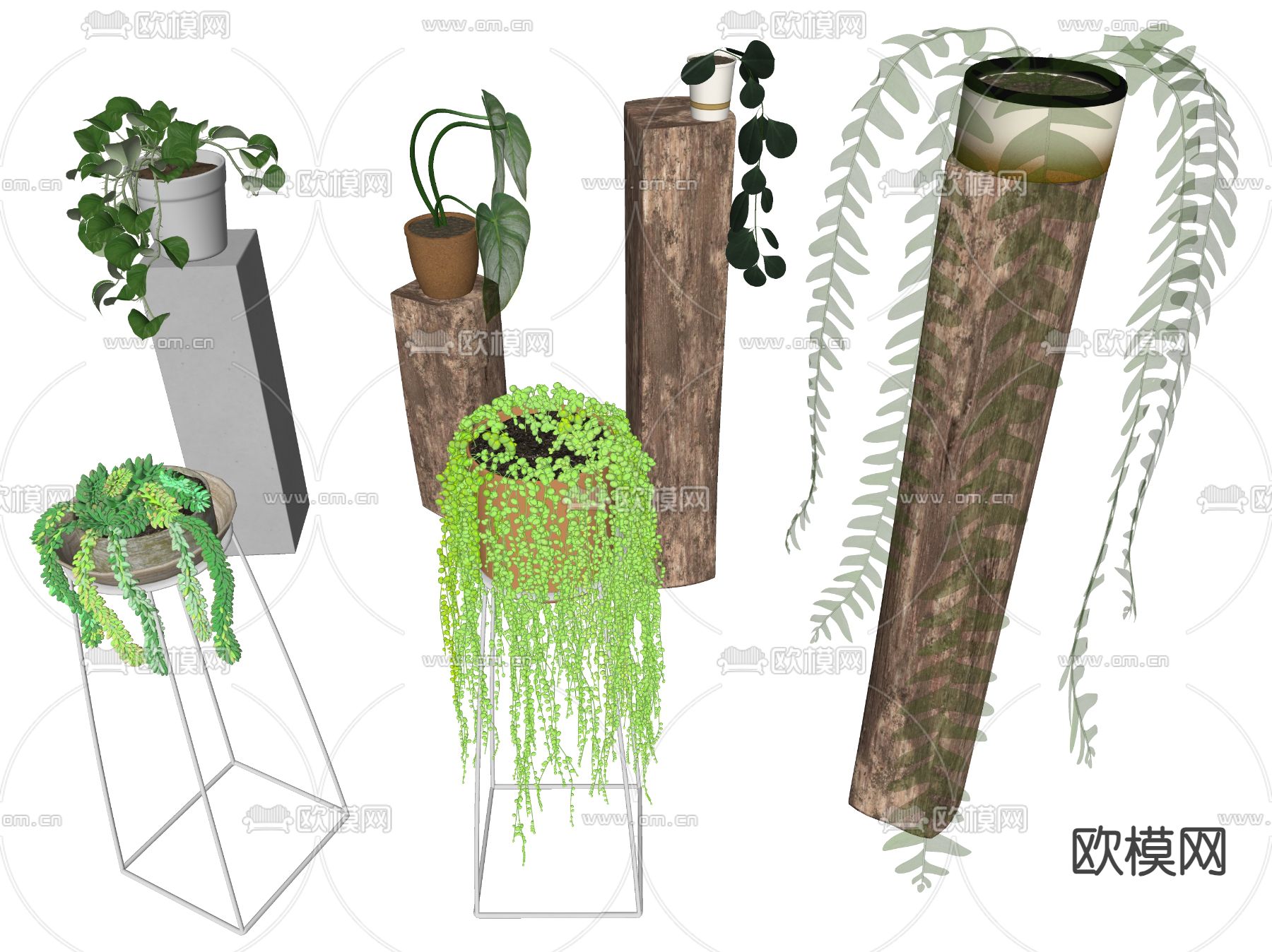盆栽 盆景 吊篮su模型下载（渲染图2）