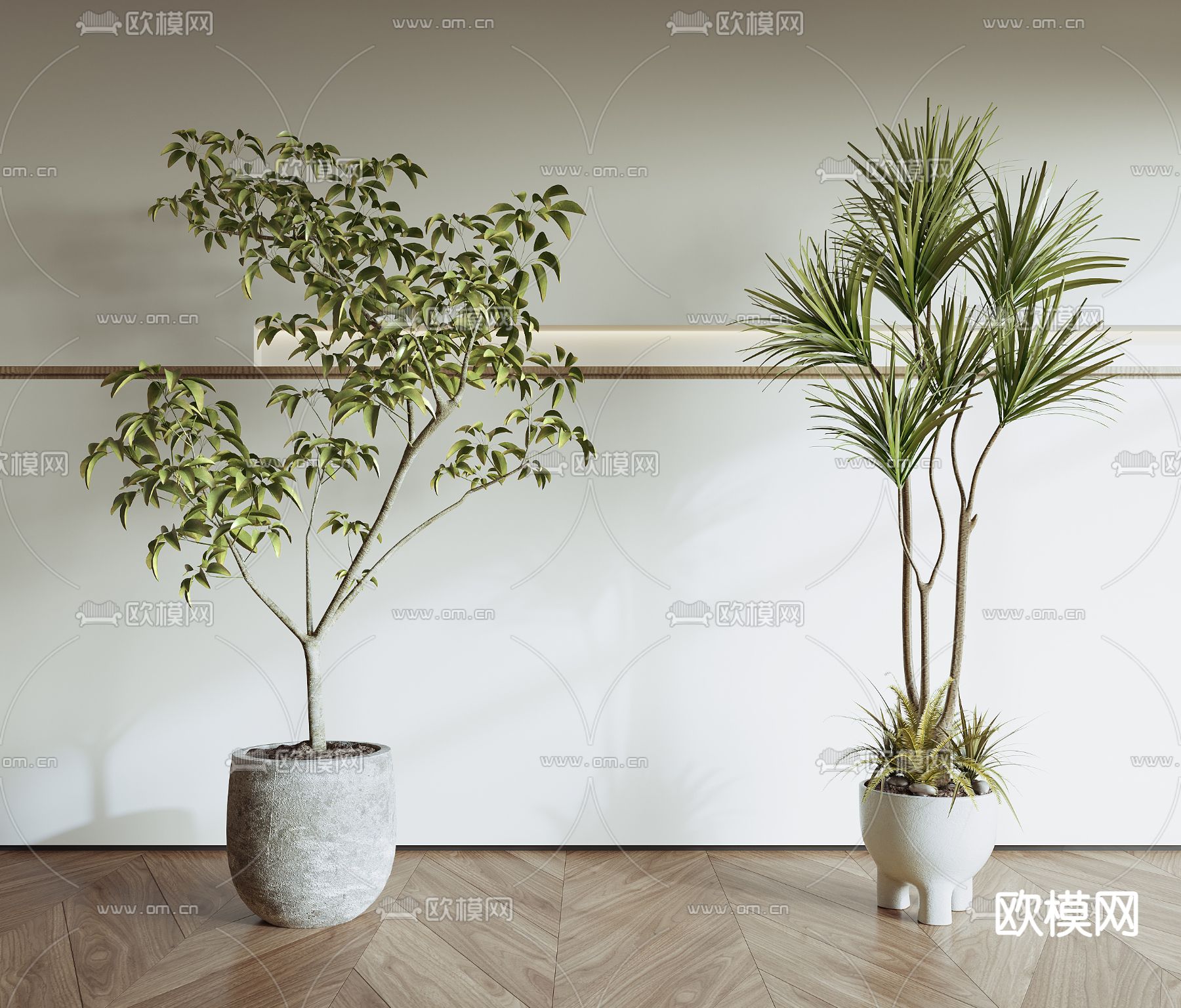 盆栽 盆景3d模型下载