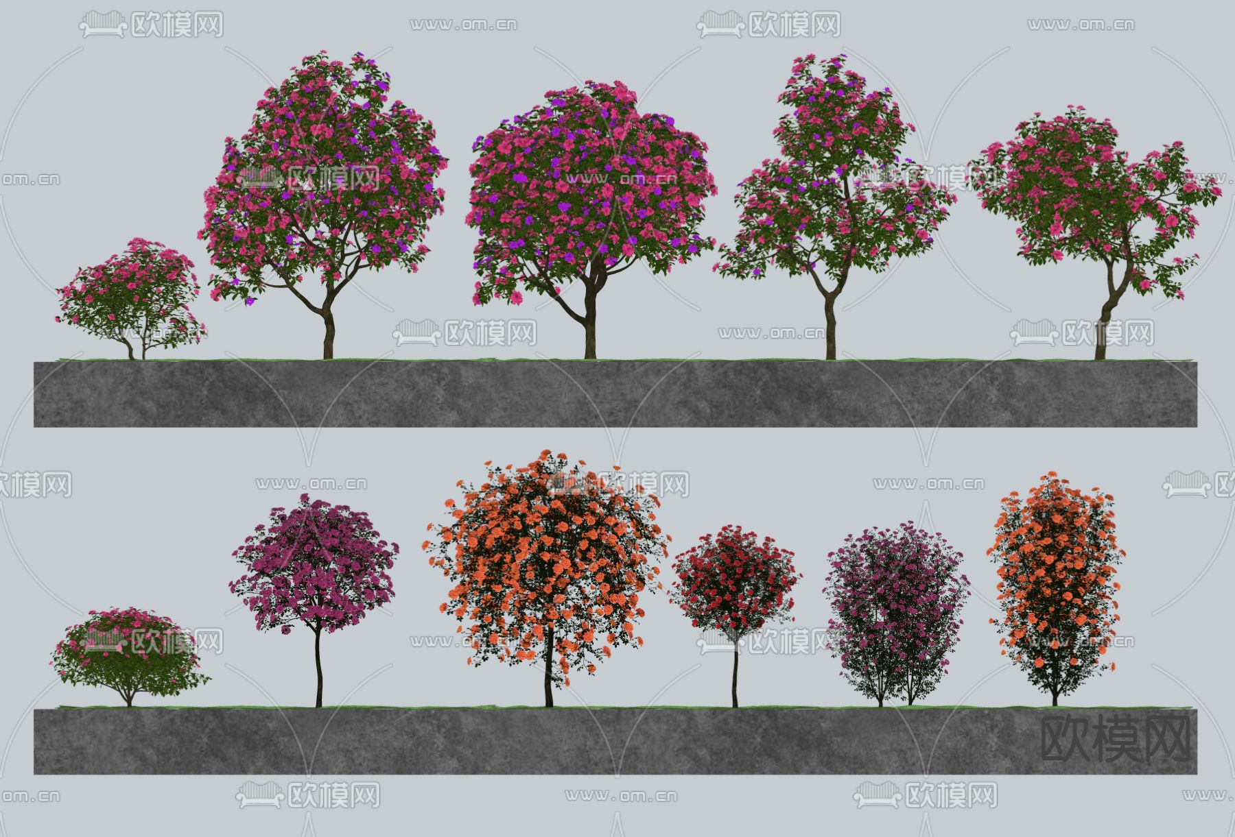 乔木 造景树su模型下载（渲染图2）