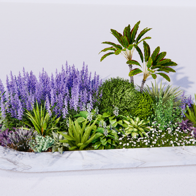  景观植物  植物堆su模型 