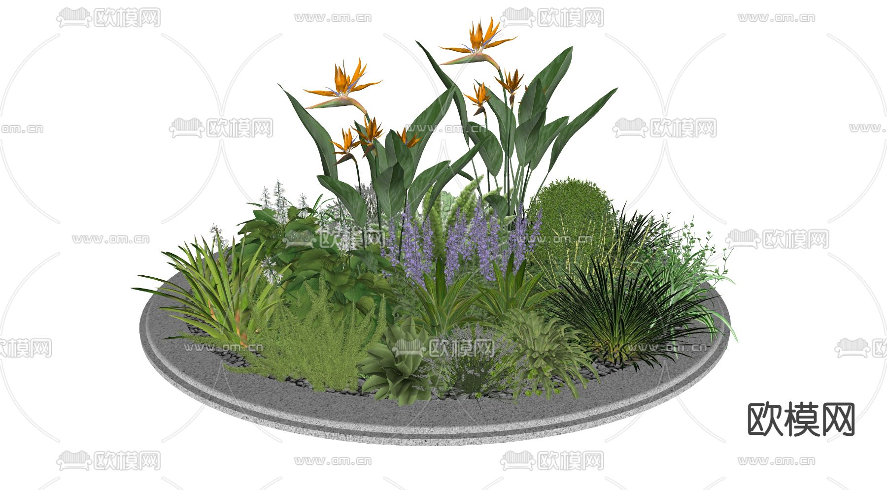 花镜观赏草 球形灌木su模型下载（渲染图2）