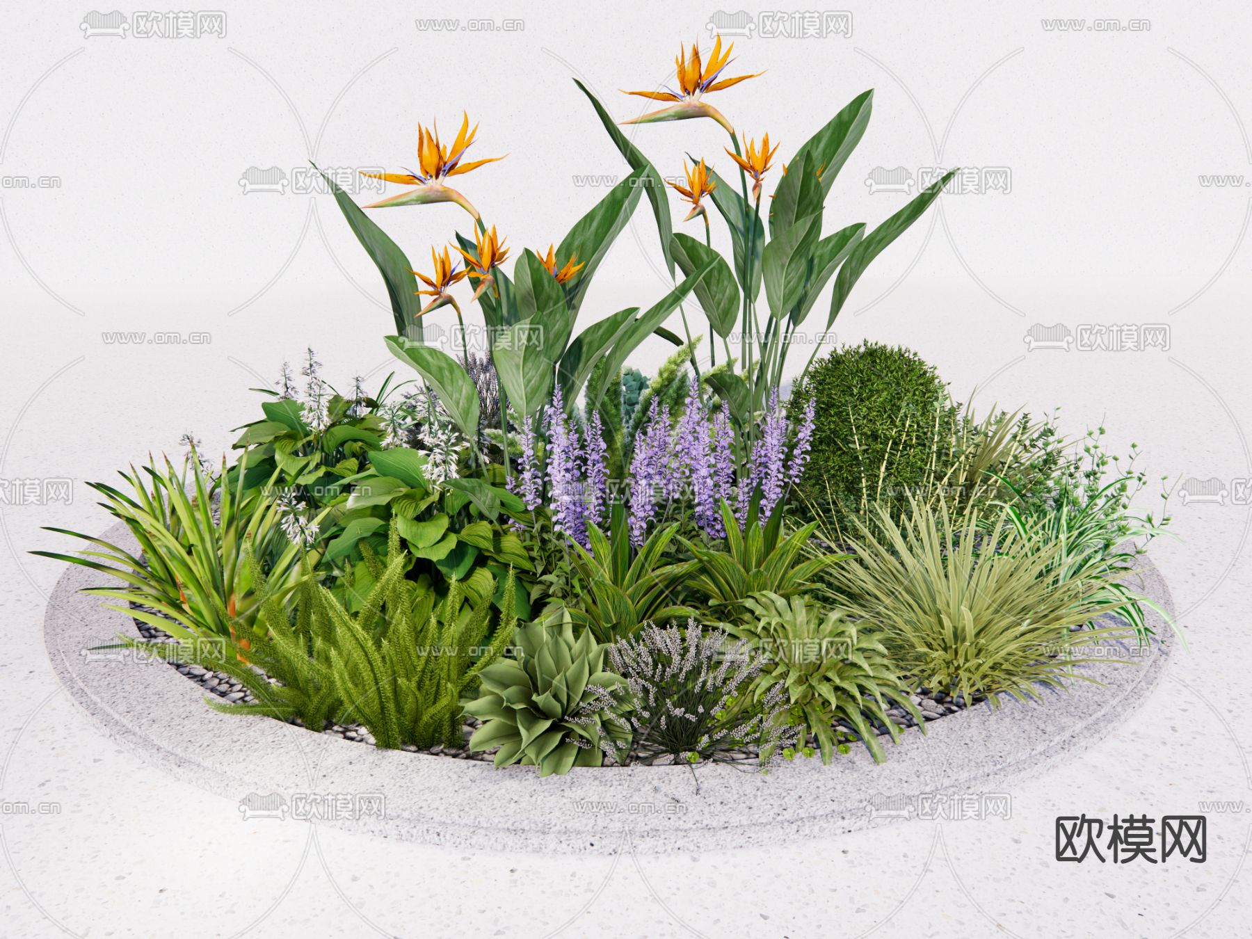 花镜观赏草 球形灌木su模型下载（渲染图1）