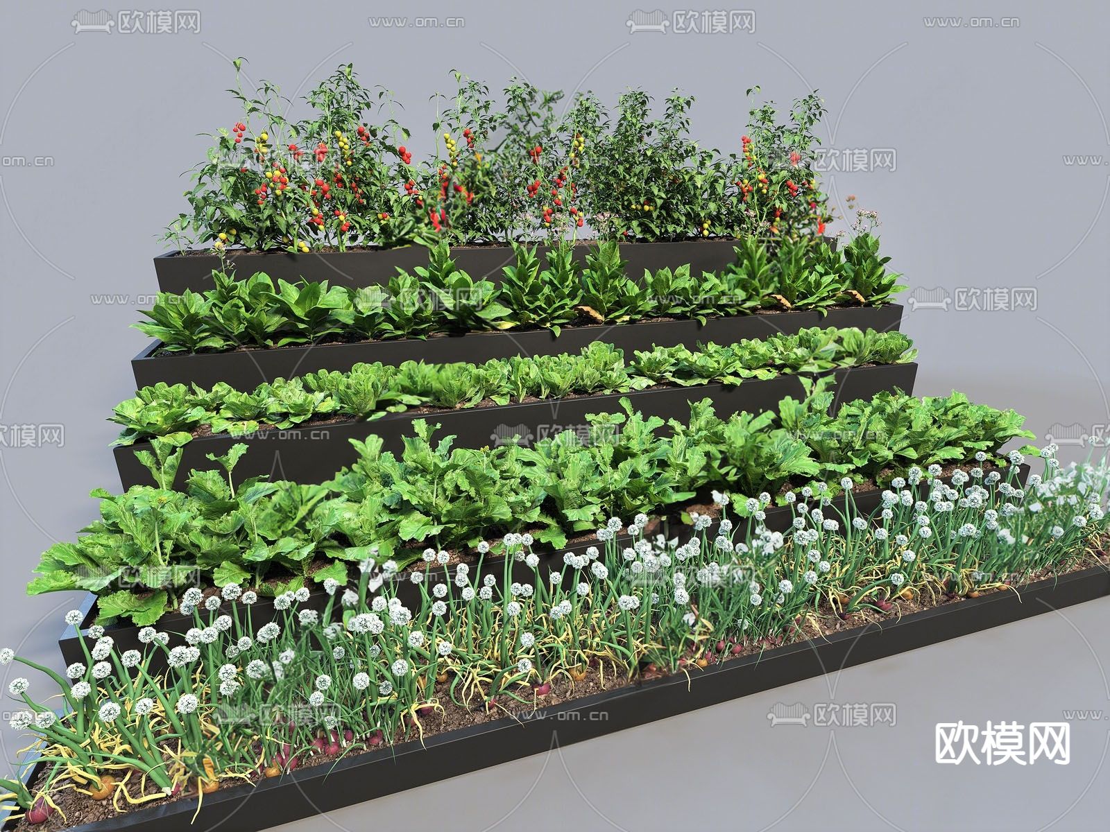 现代农作物菜地su模型下载（渲染图1）