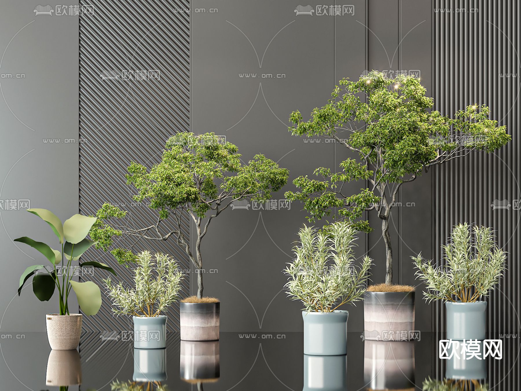 盆栽 盆景3d模型下载_ID14213585_3dmax免费模型-欧模网