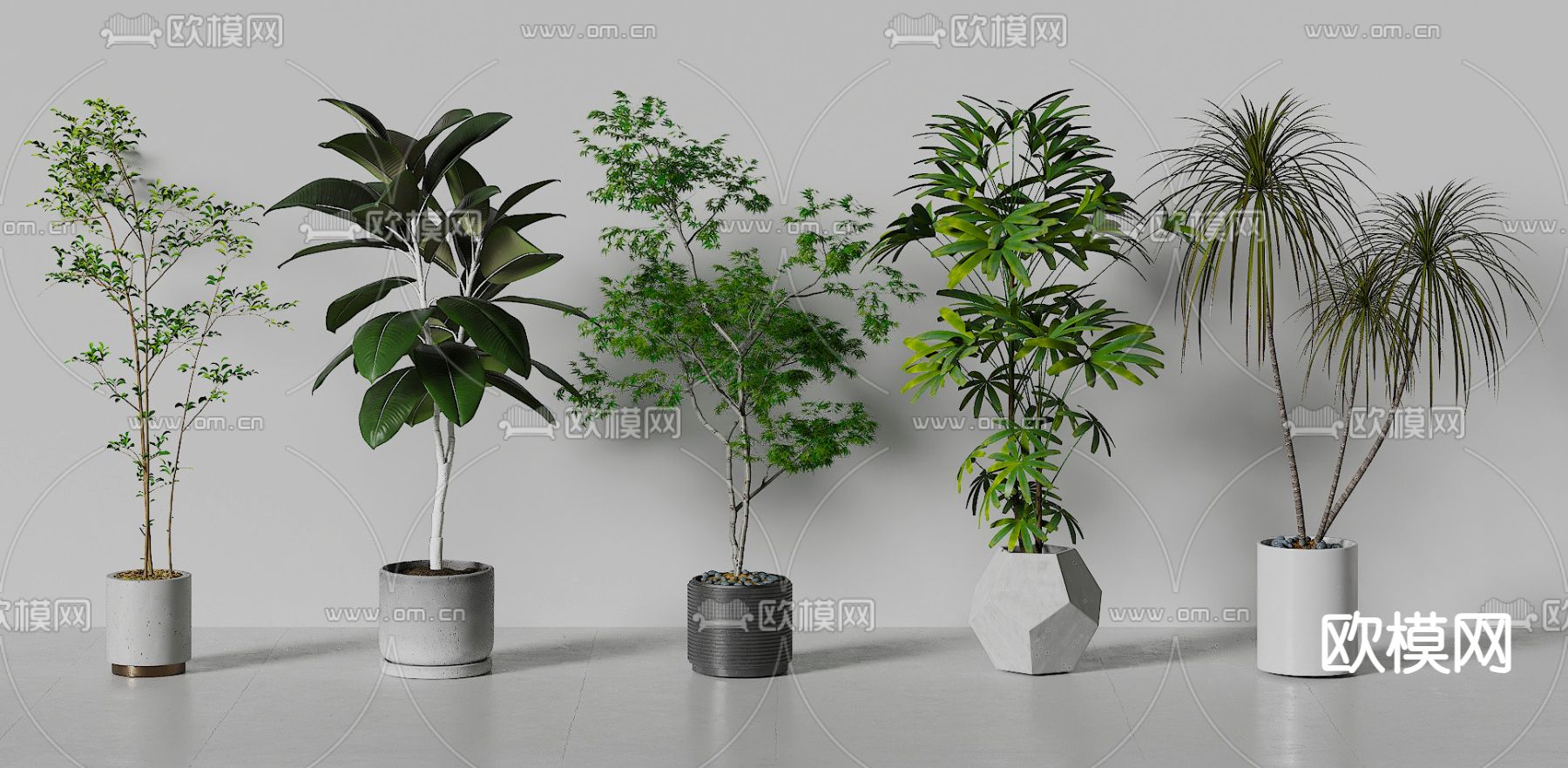 盆栽 盆景 绿植3d模型下载