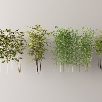 竹子 罗汉竹su模型 