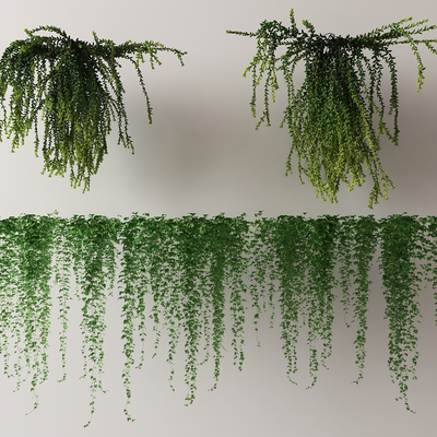  现代藤蔓su模型 