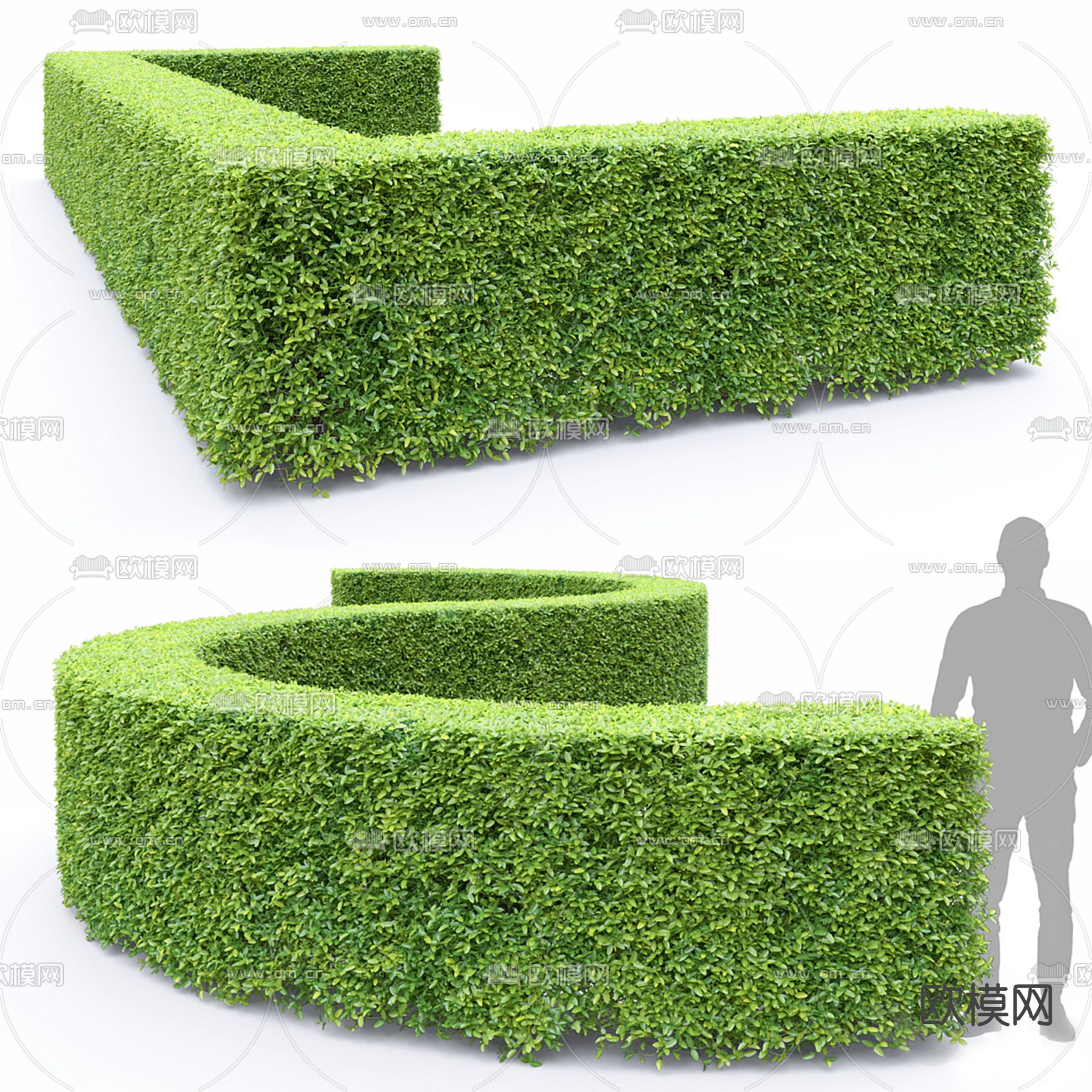 造型灌木 绿篱 绿化带3d模型-Pic-1