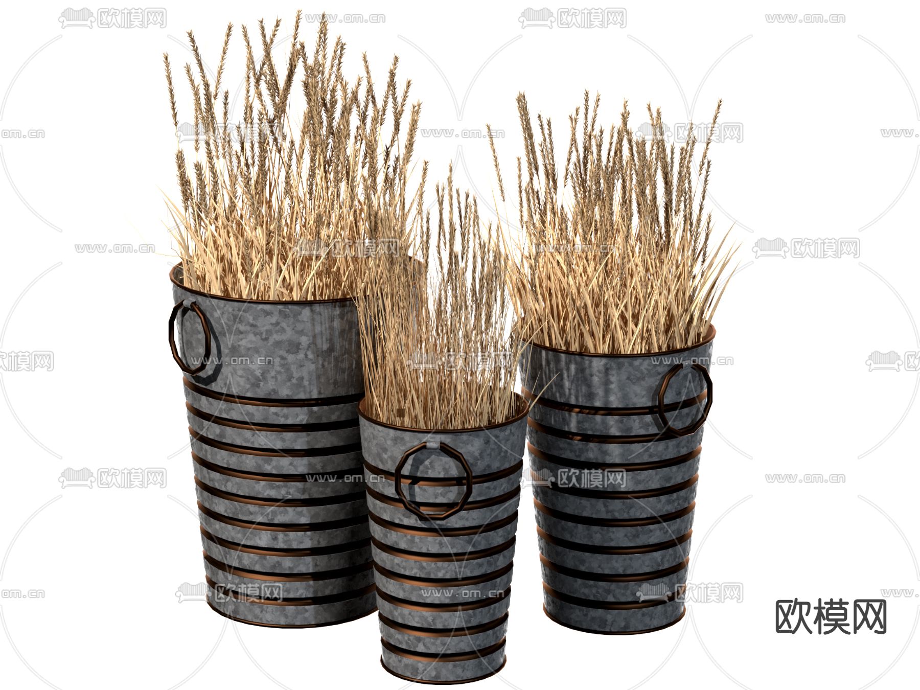 侘寂风麦穗盆栽su模型下载（渲染图1）