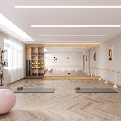  现代舞蹈室 瑜伽室su模型 