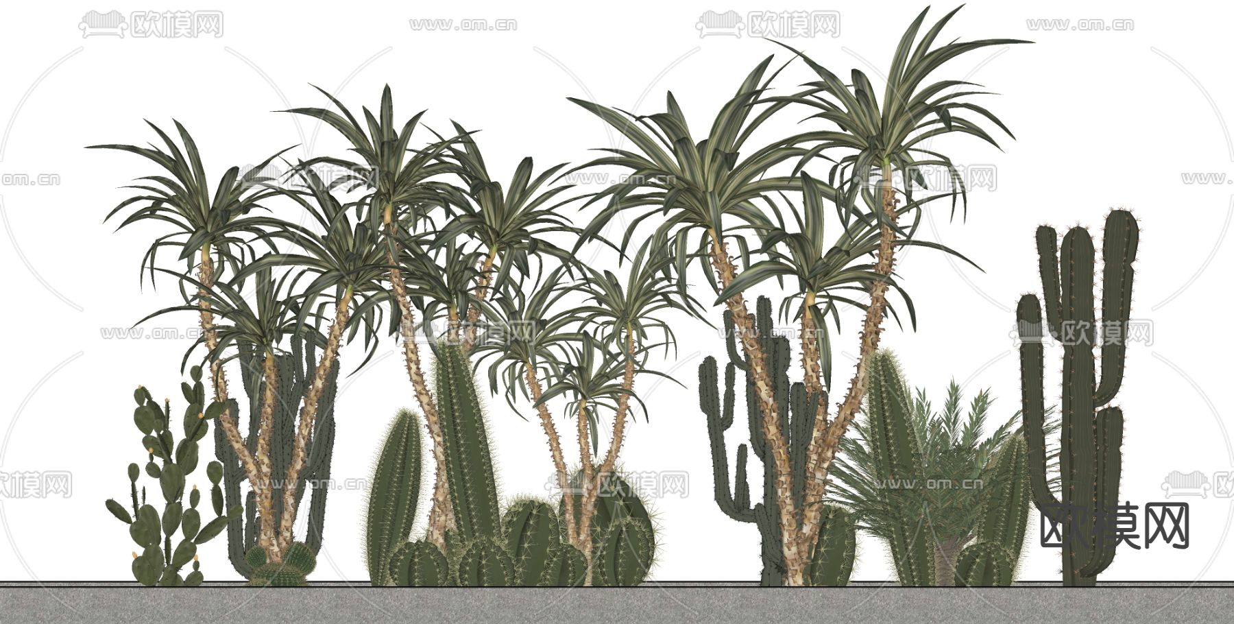 仙人掌 仙人球su模型下载（渲染图2）