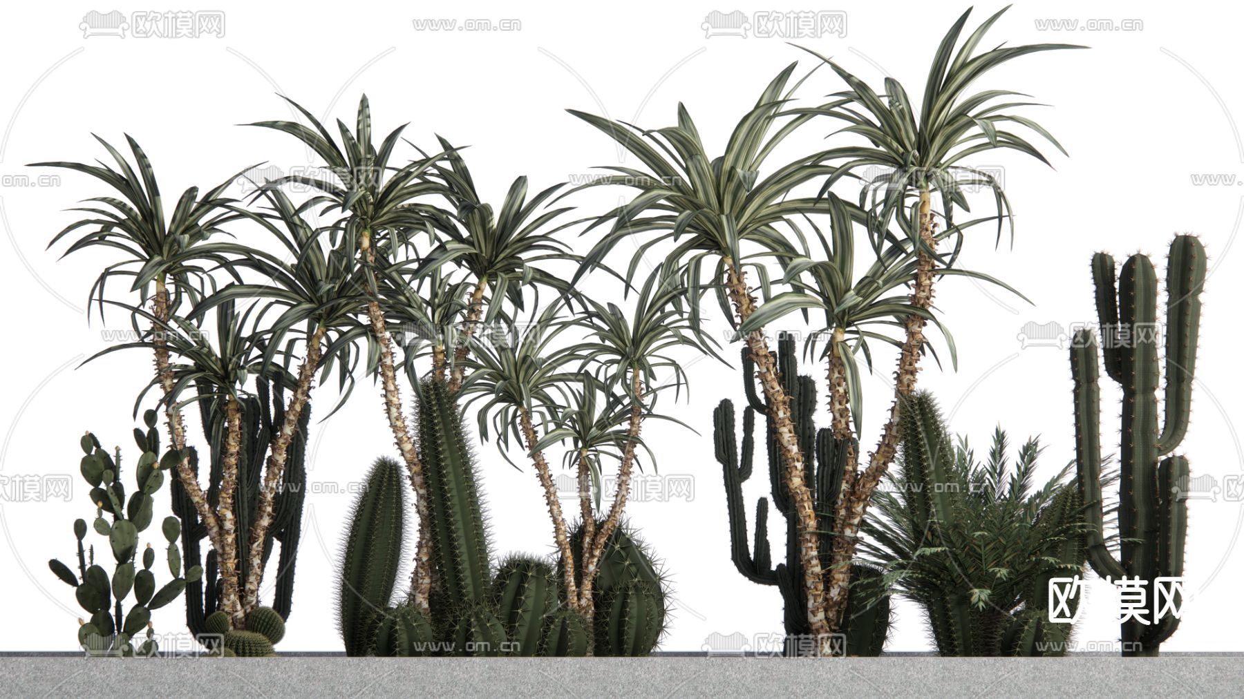 仙人掌 仙人球su模型下载（渲染图1）
