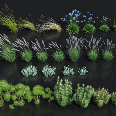  花草花卉 灌木su模型 