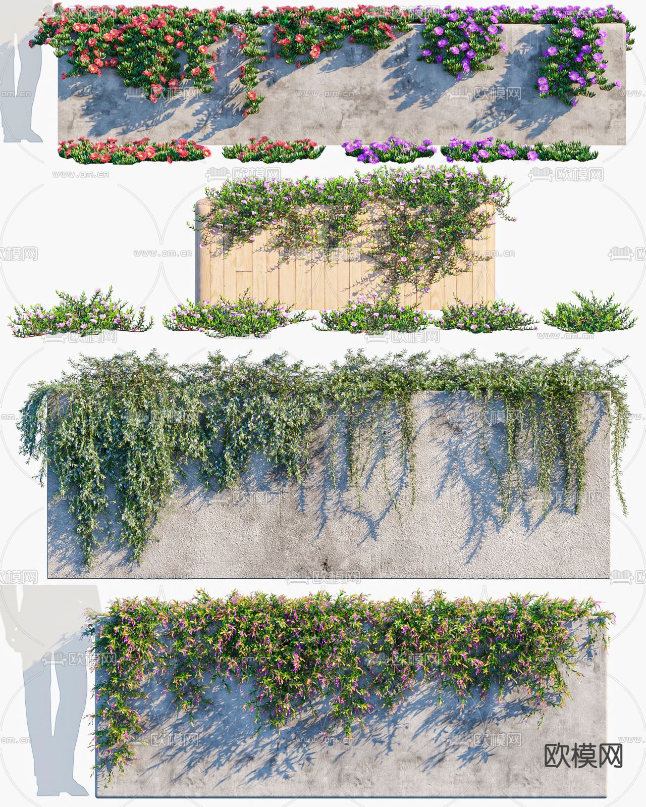 藤蔓 爬藤3d模型下载