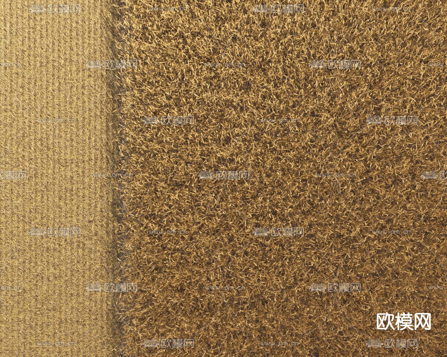 农作物小麦 麦田 庄稼3d模型下载（渲染图7）