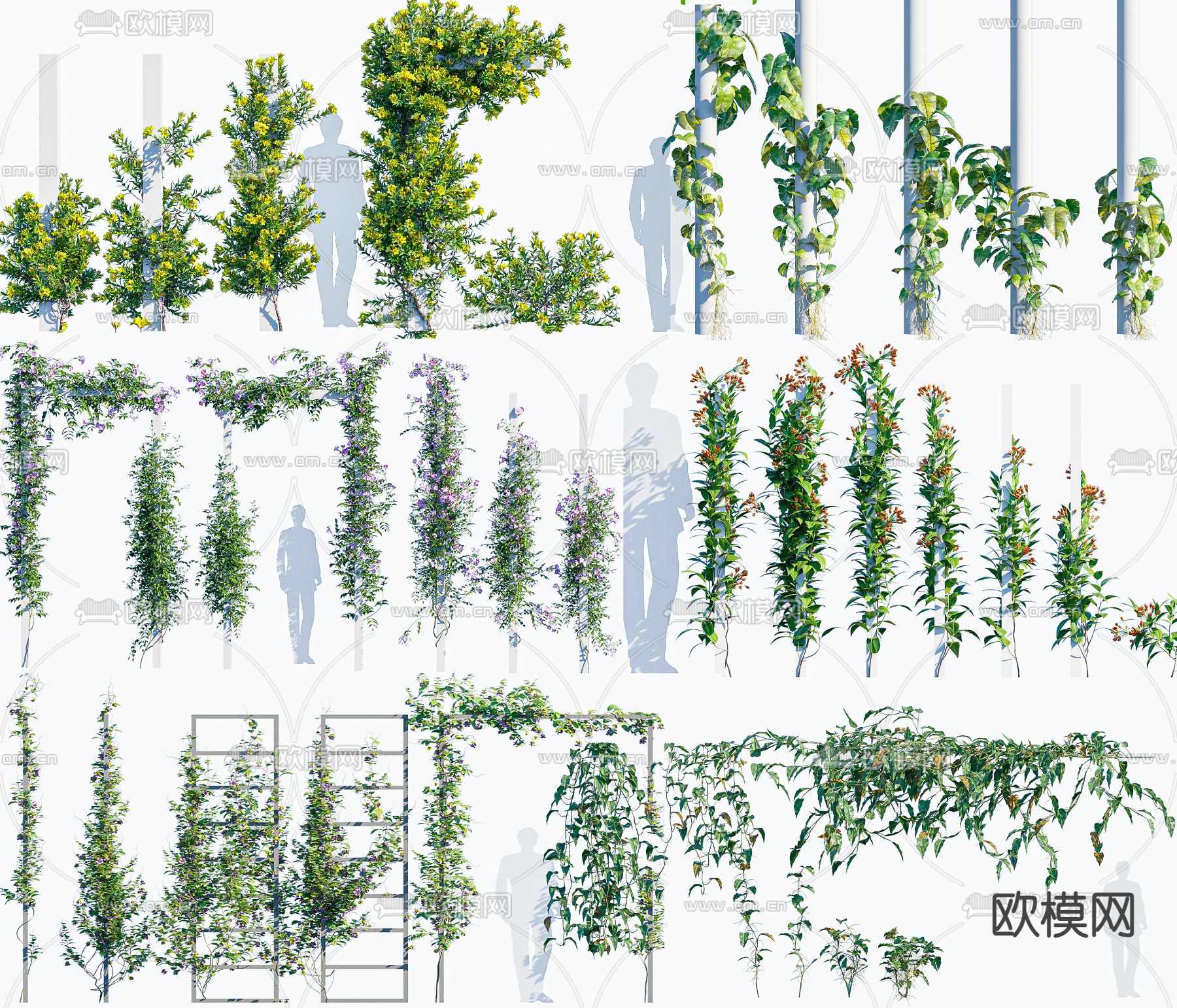 藤蔓 爬藤 花架3d模型下载