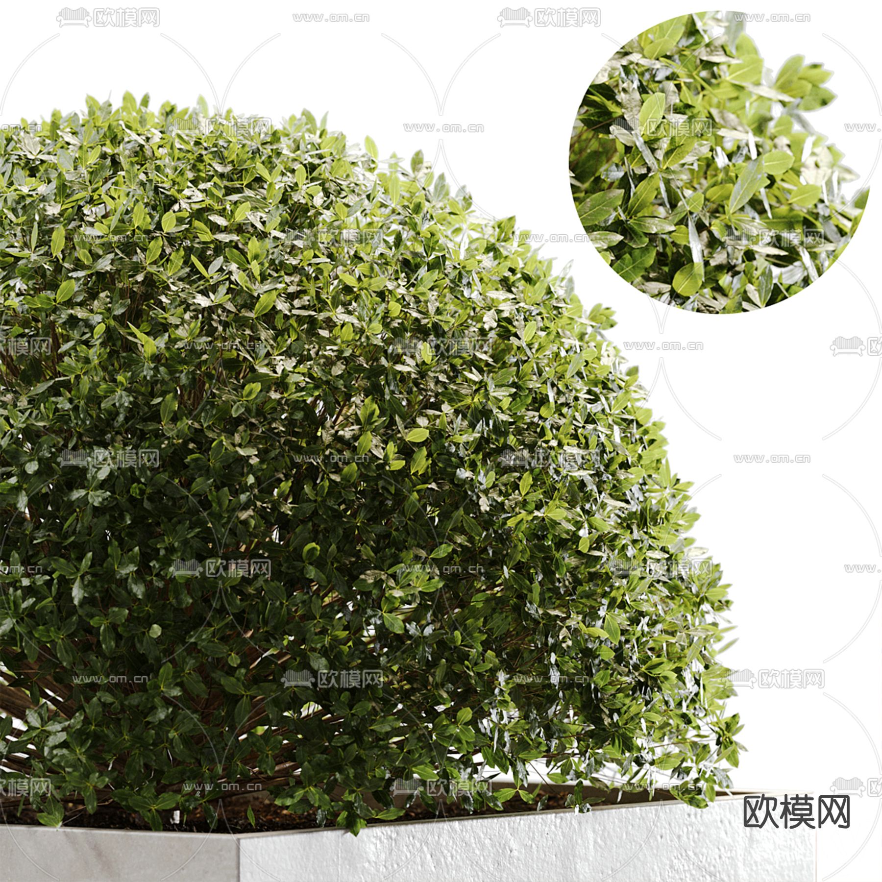 花坛 公共座椅3d模型下载（渲染图3）