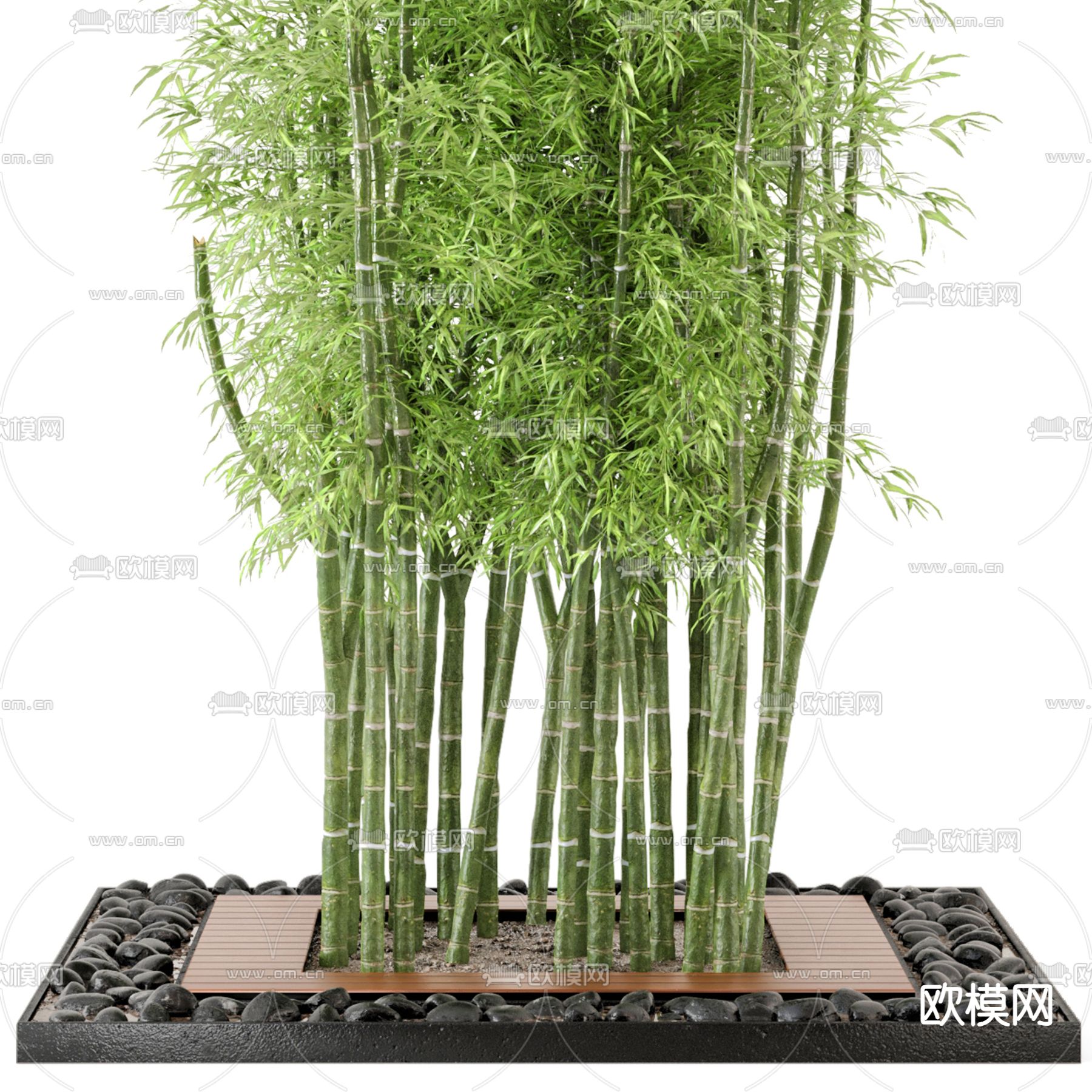 现代竹子 盆栽3d模型下载（渲染图2）