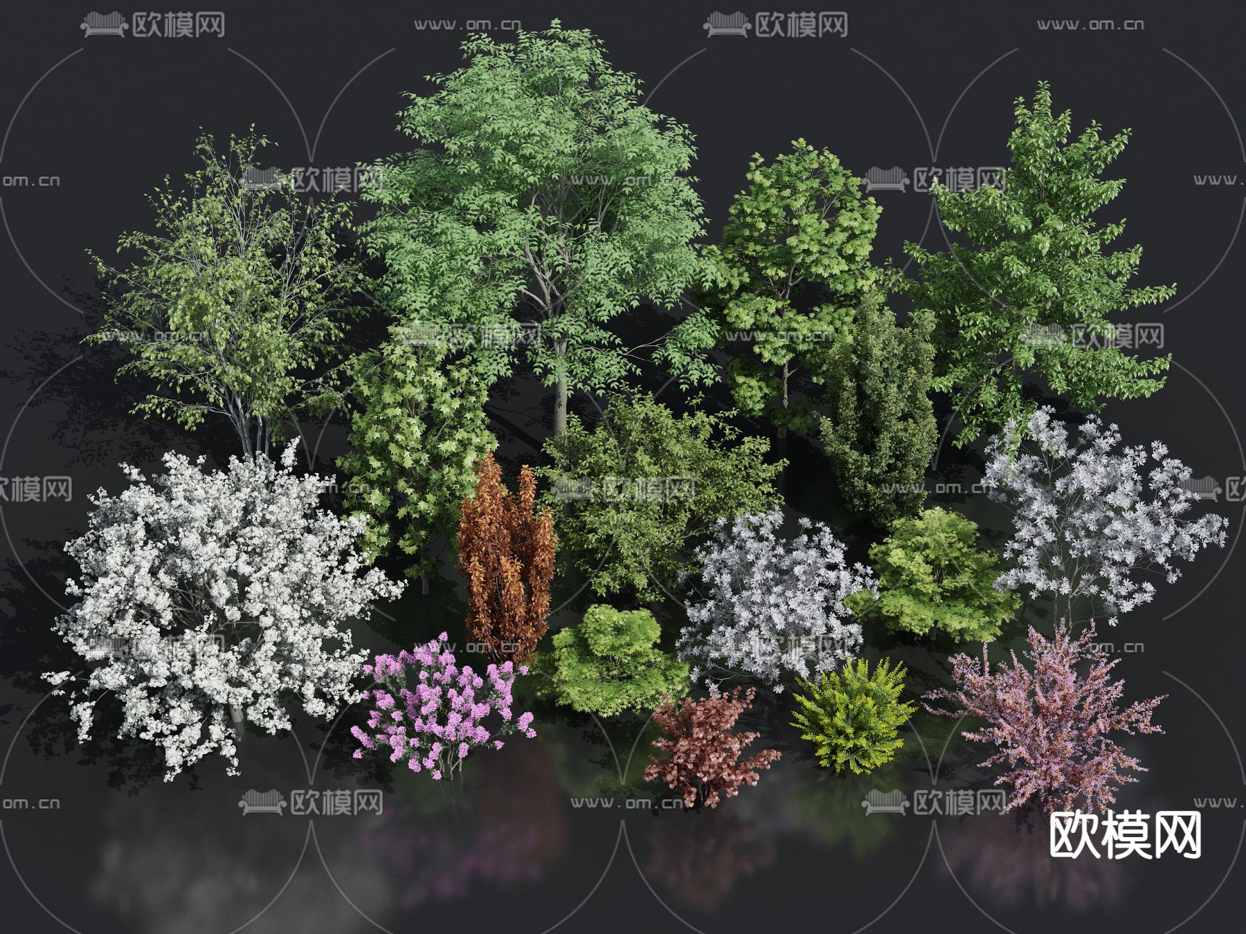 灌木3d模型下载_ID14219643_3dmax免费模型-欧模网