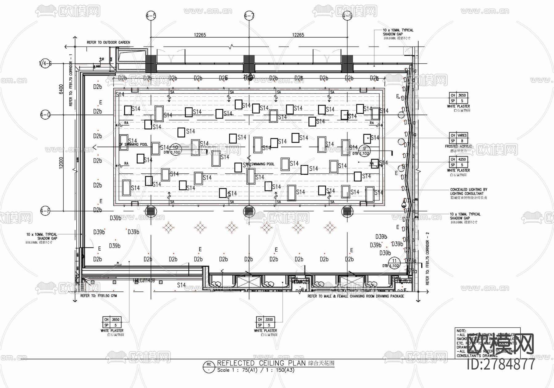 600㎡游泳池室内CAD施工图下载（渲染图3）