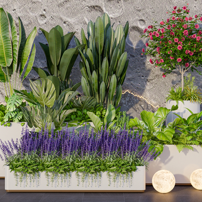  花箱 花槽 花池 花坛su模型 