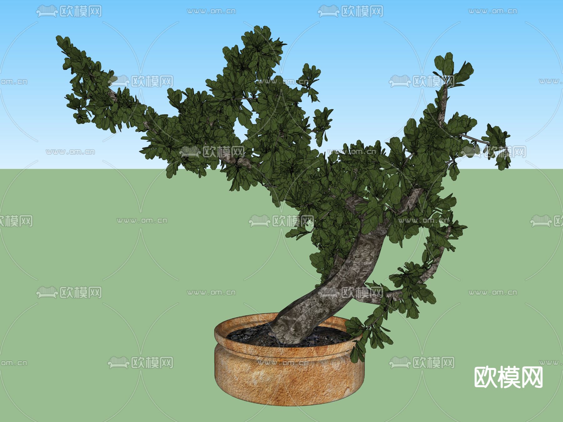 盆栽 盆景su模型下载（渲染图2）