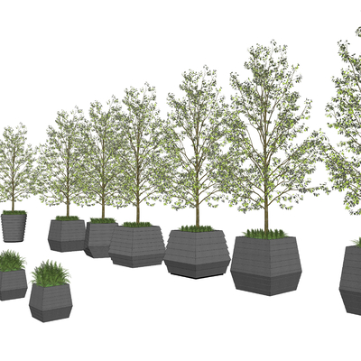  树池 花钵su模型 