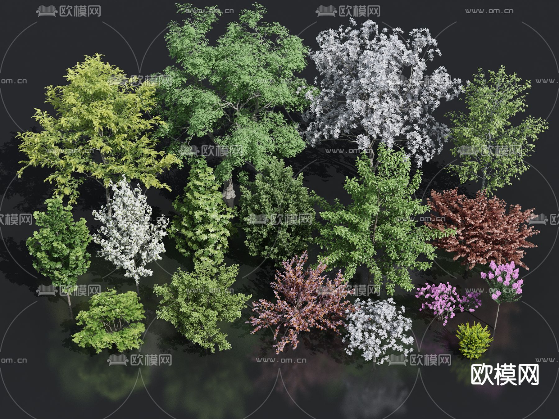 灌木 乔木3d模型下载