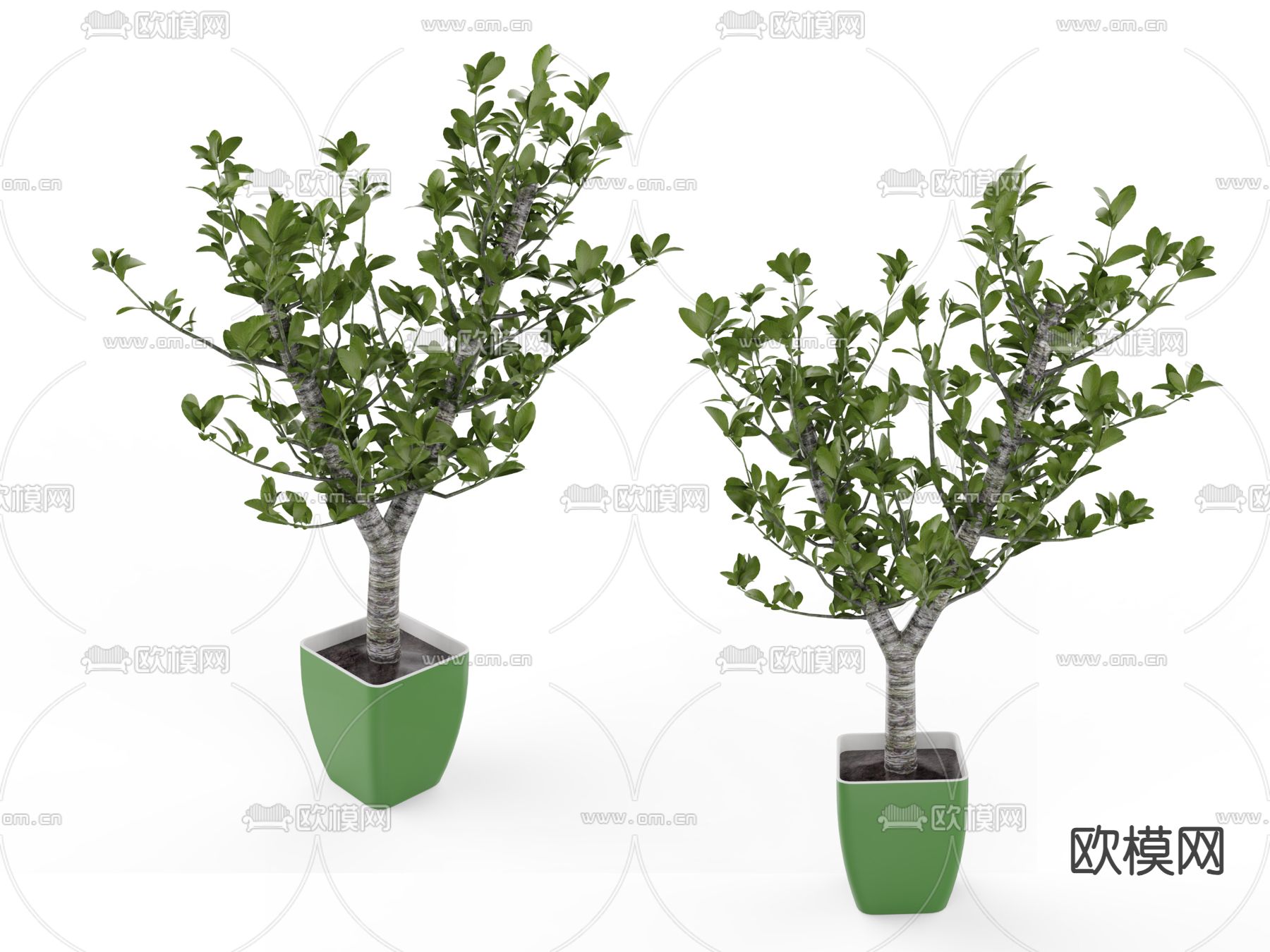 盆栽 盆景su模型下载（渲染图1）