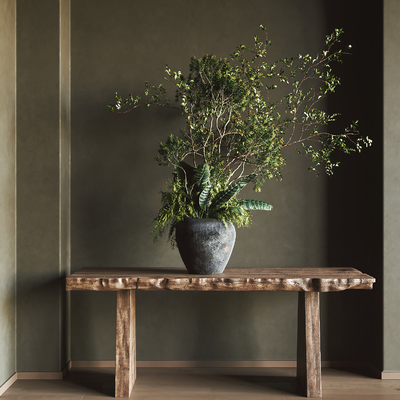  侘寂风盆景 盆栽su模型 