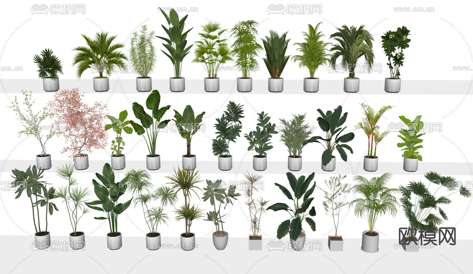 绿植盆栽 盆景su模型下载（渲染图1）