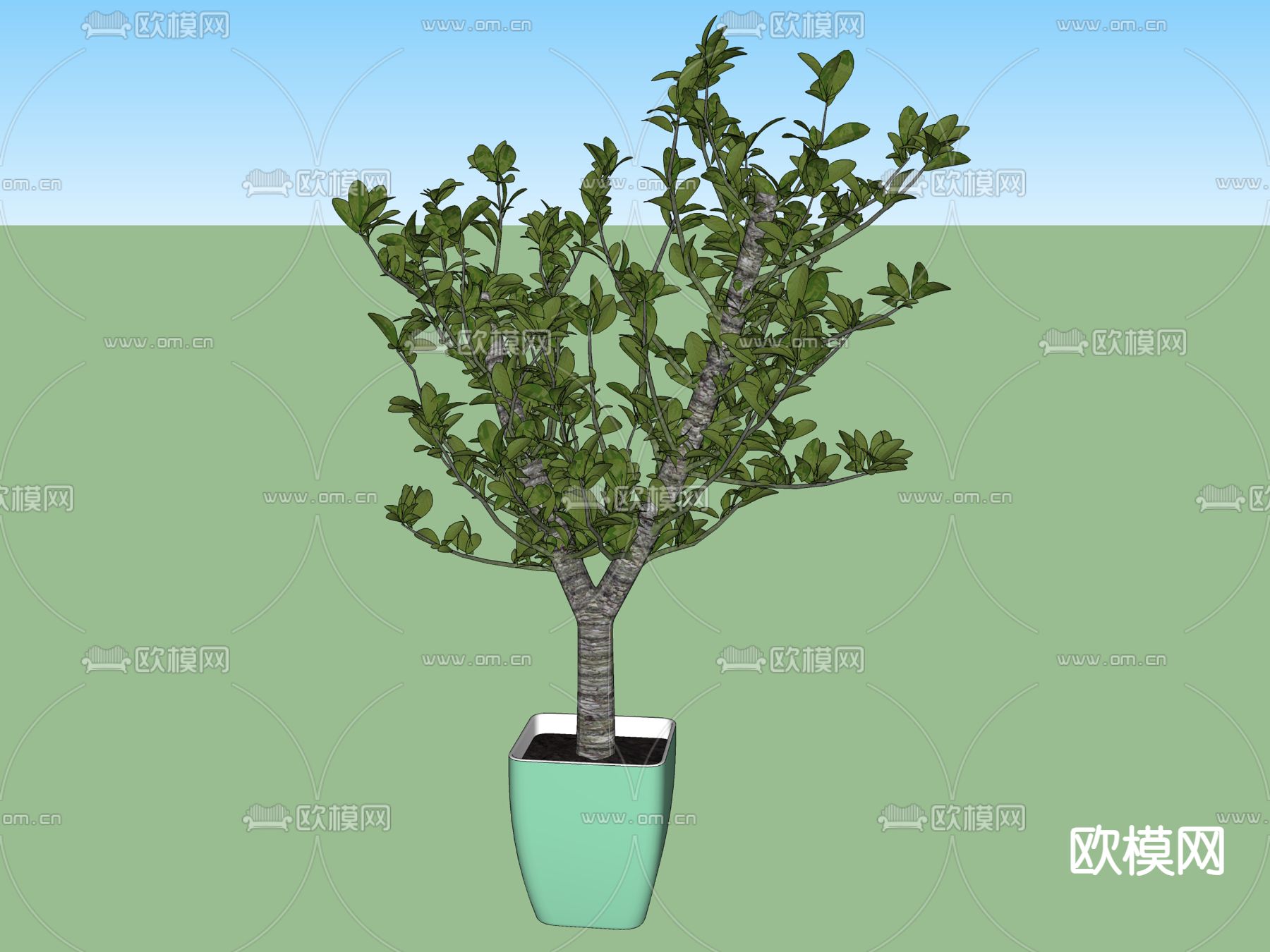 盆栽 盆景su模型下载（渲染图2）