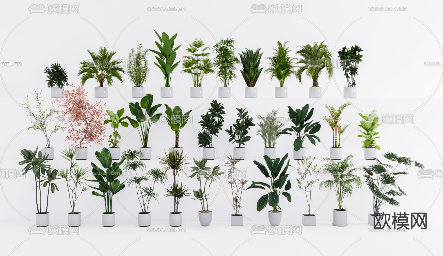 绿植盆栽 盆景su模型下载（渲染图2）