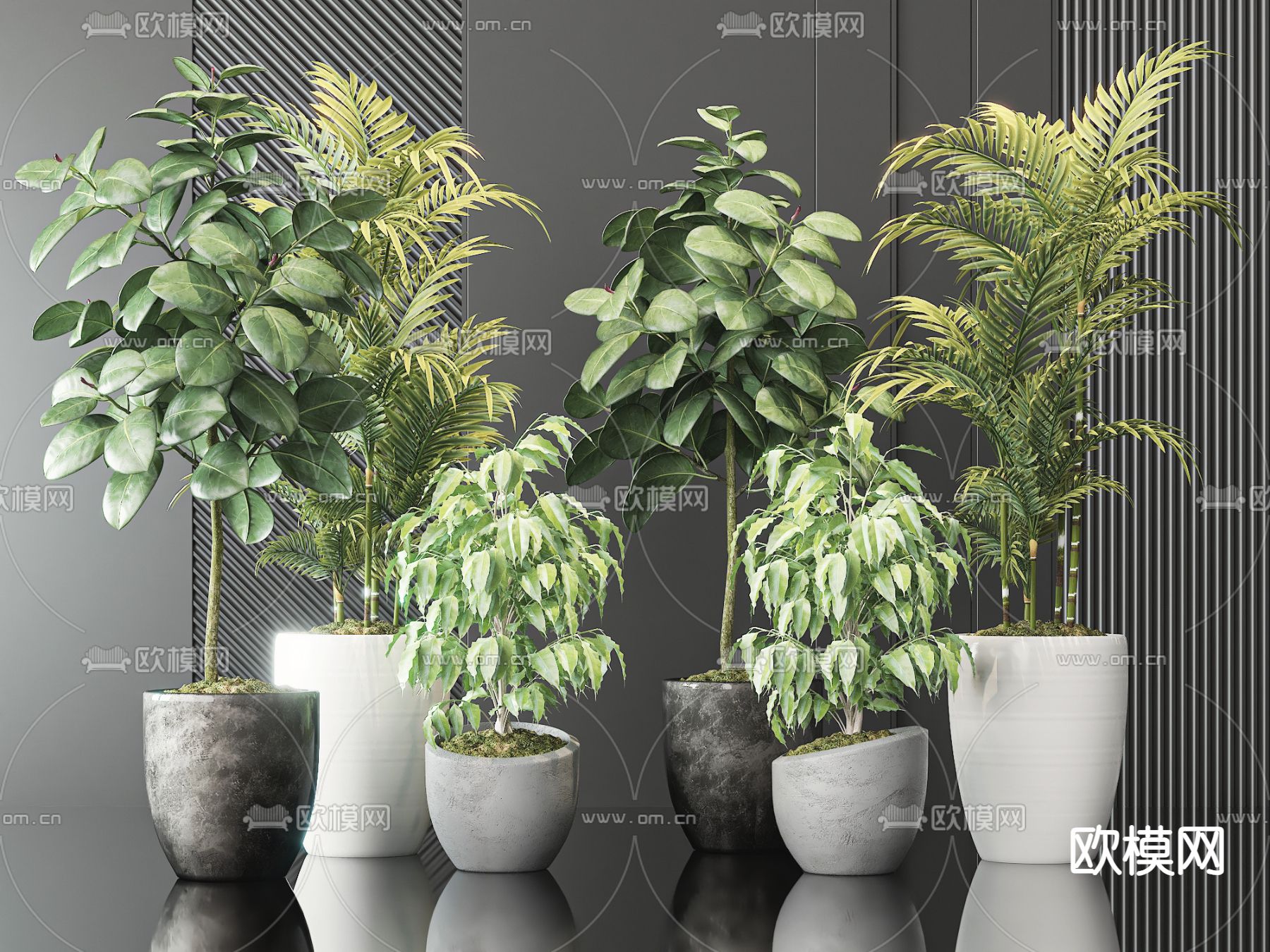 盆栽 盆景3d模型下载