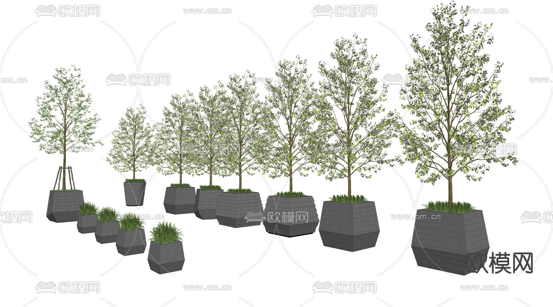 树池 花钵su模型下载