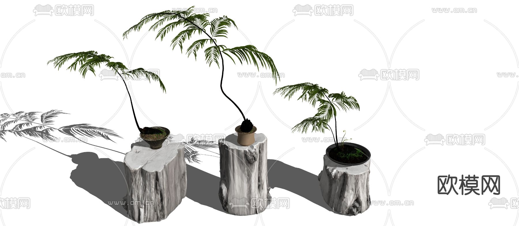 绿植盆栽 盆景 散尾葵su模型下载（渲染图2）