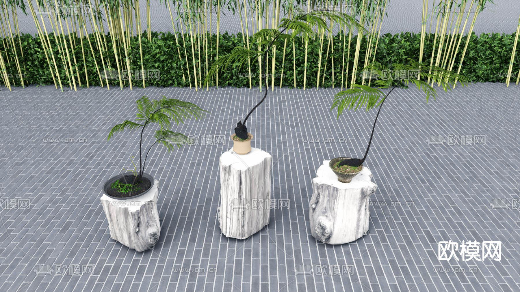 绿植盆栽 盆景 散尾葵su模型下载（渲染图1）