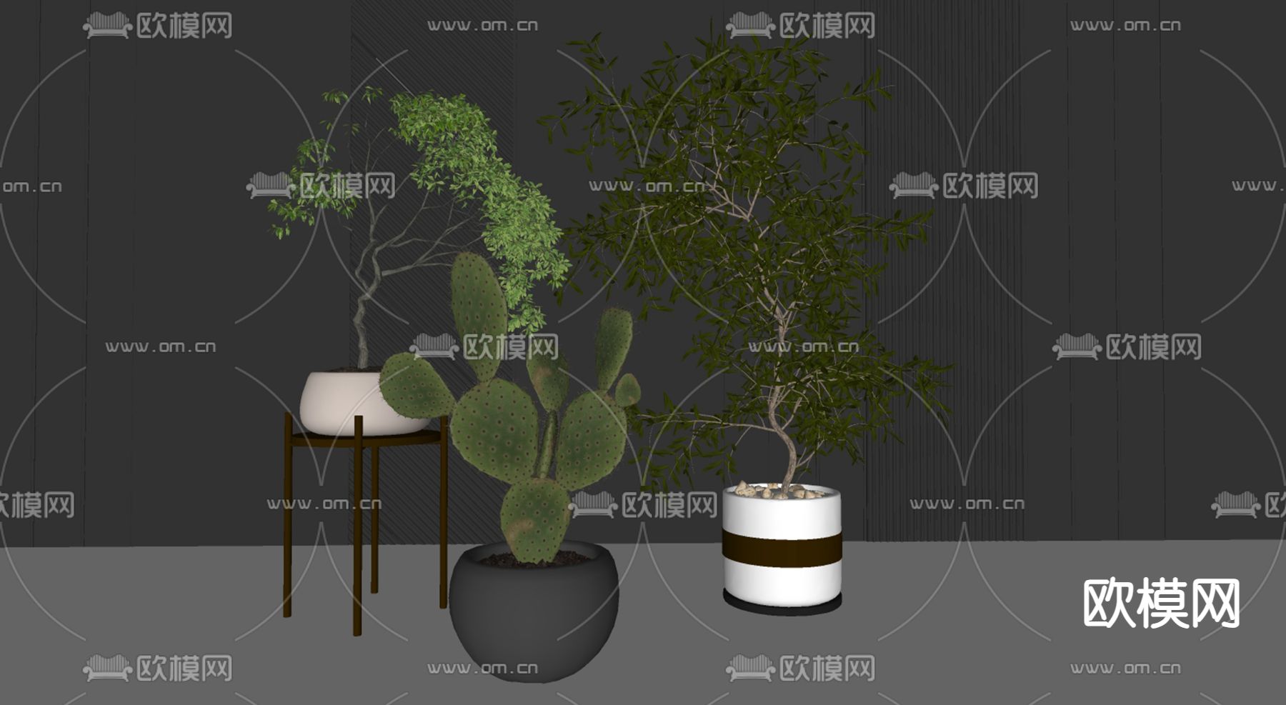 盆栽 盆景su模型下载（渲染图2）