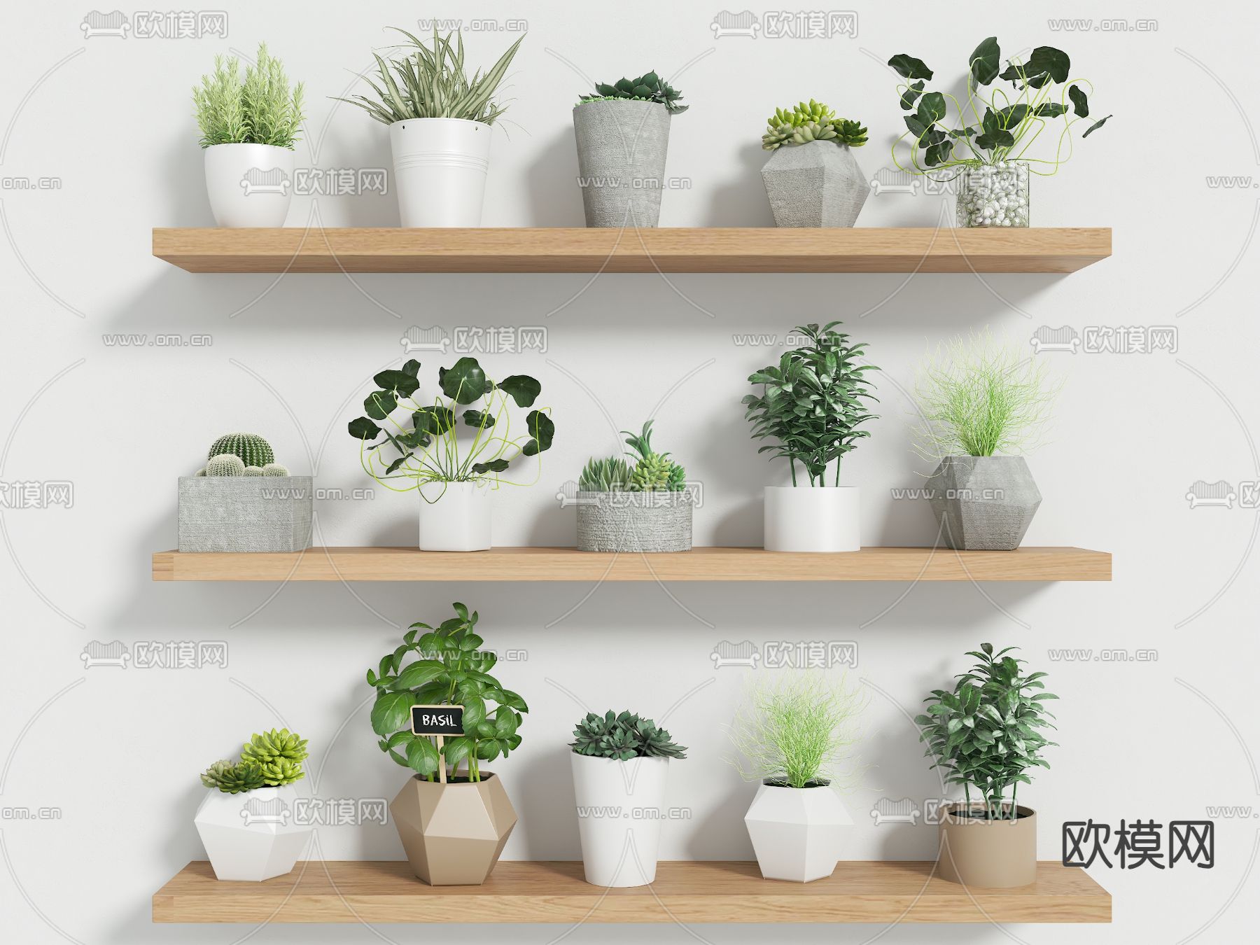 小盆栽 盆景 多肉3d模型下载