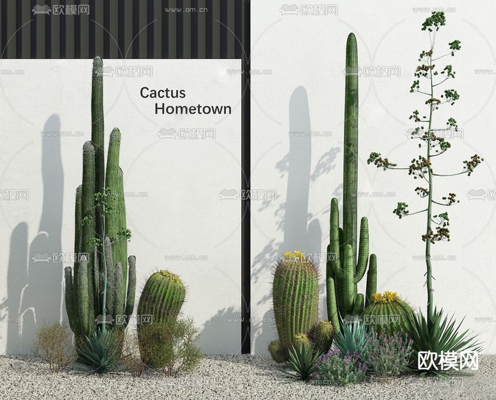 仙人掌 植物堆3d模型下载