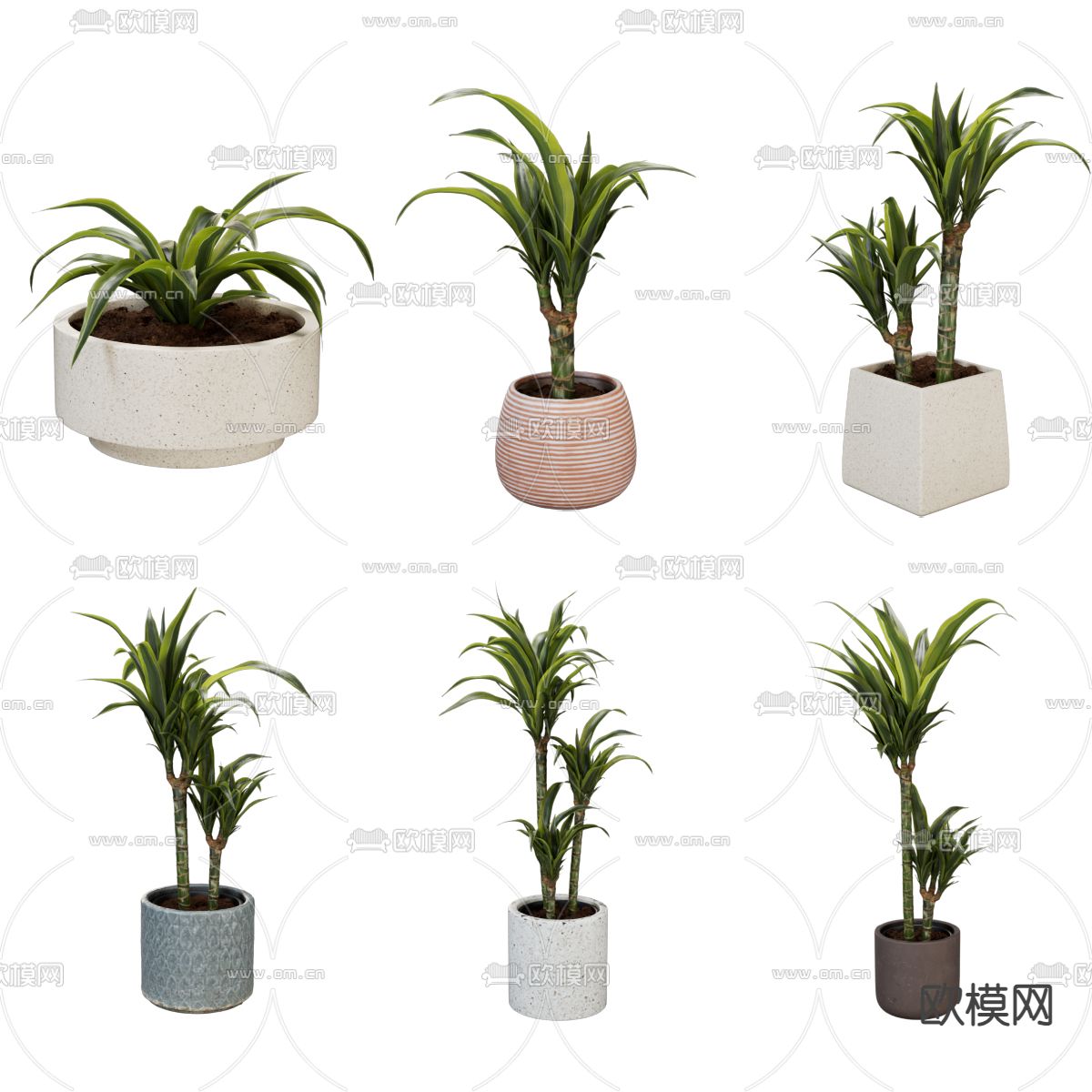 盆栽 盆景 绿植3d模型下载