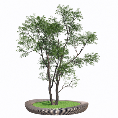  乔木 朴树 香樟su模型 