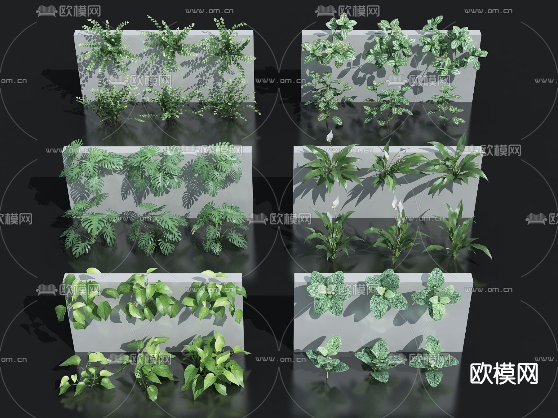 植物墙su模型下载（渲染图2）